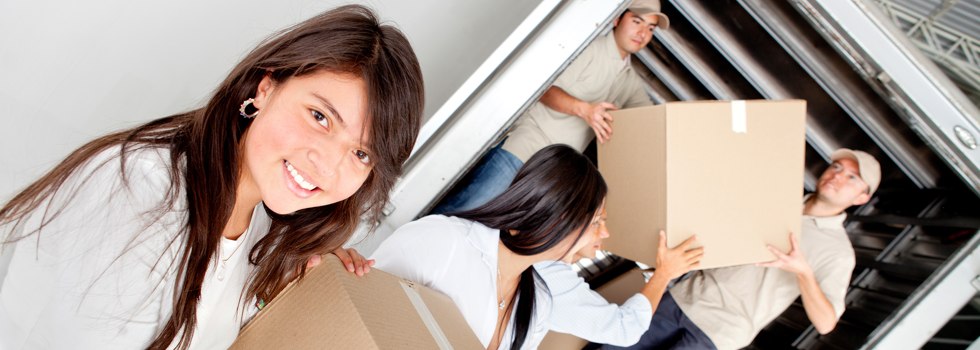 Professional Removalists Swan Point